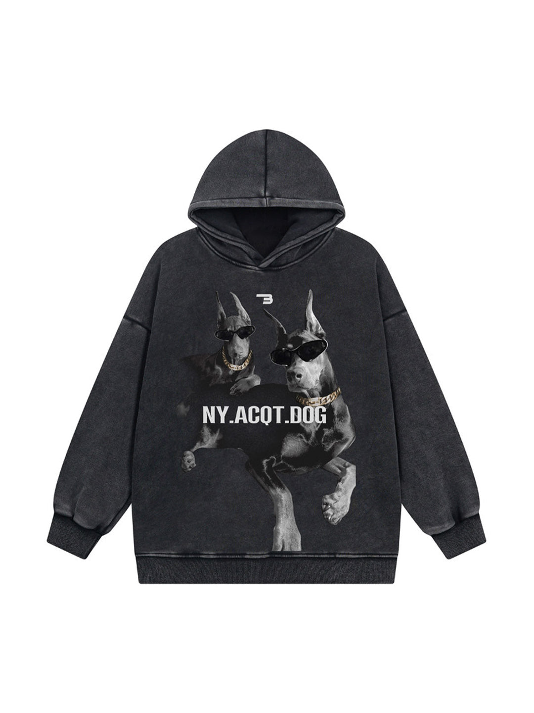 Ayuuki Washed Doberman Printed Pullover Hoodie